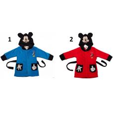Župan Mickey Mouse